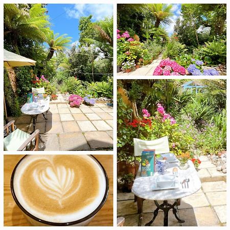 Funky Urban Jungle Bed & Breakfast Cardiff Ngoại thất bức ảnh
