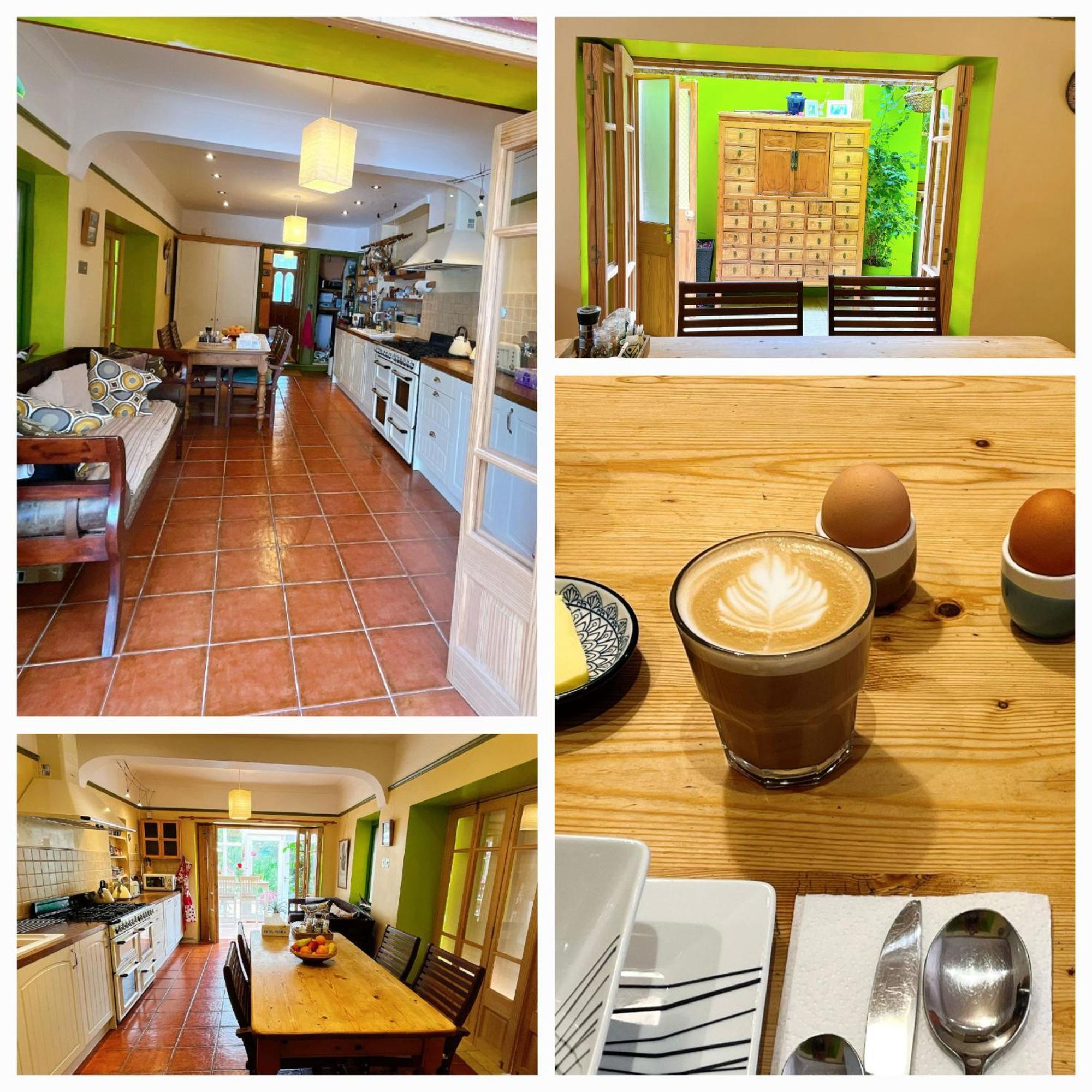 Funky Urban Jungle Bed & Breakfast Cardiff Ngoại thất bức ảnh