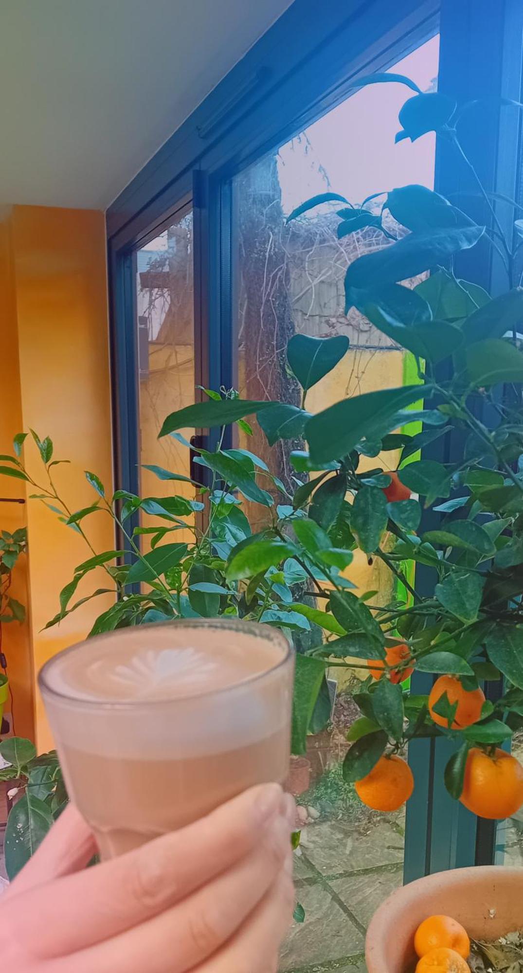 Funky Urban Jungle Bed & Breakfast Cardiff Ngoại thất bức ảnh